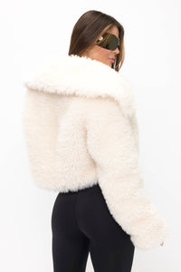 Dynasty Jacket