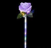 16" LIGHT-UP ROSE WAND