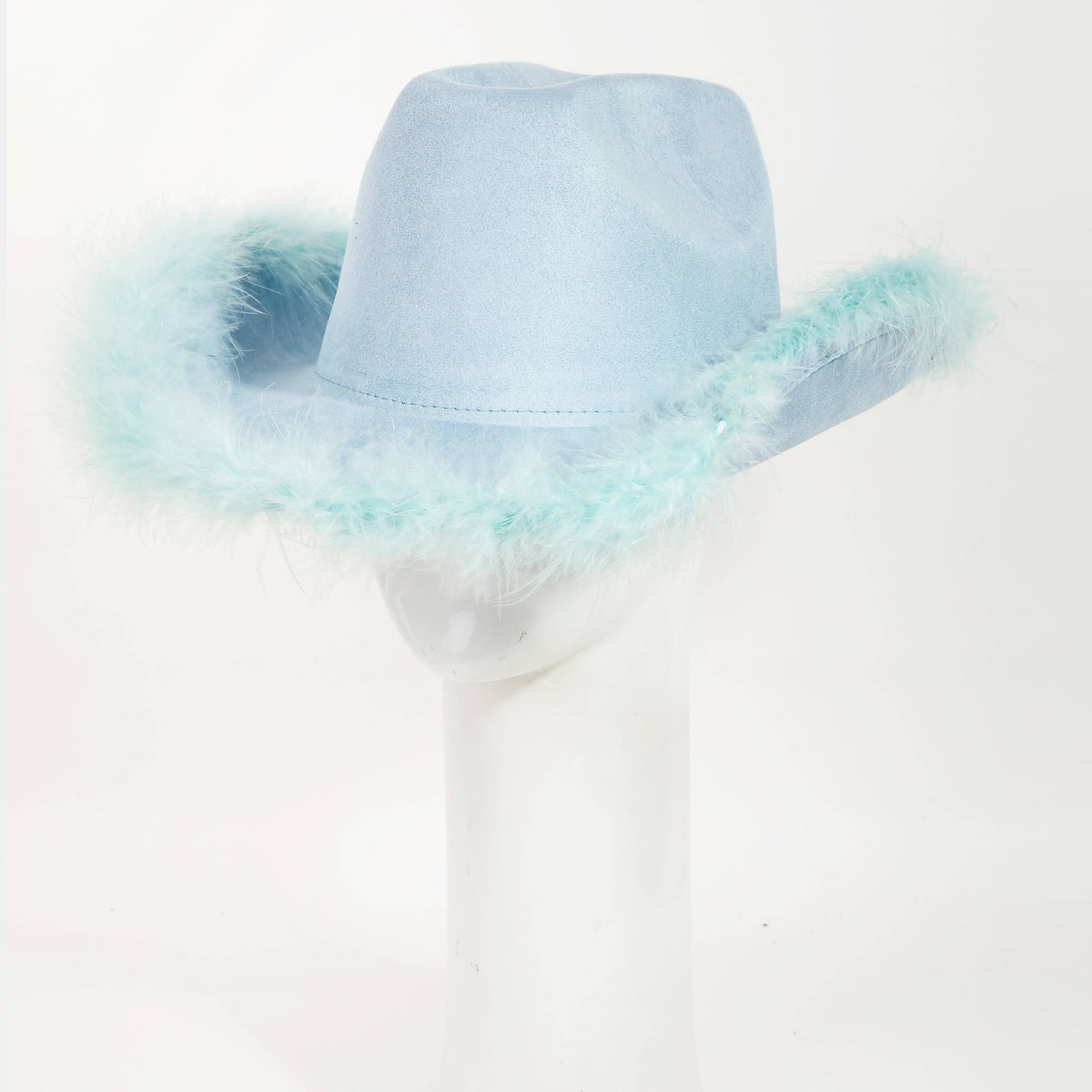 Feather Trim Fashion Cowboy Hat