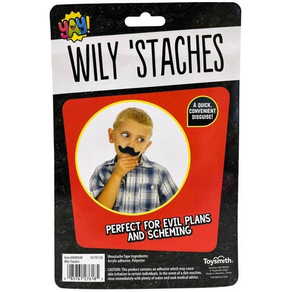 6 Piece Mustache Set