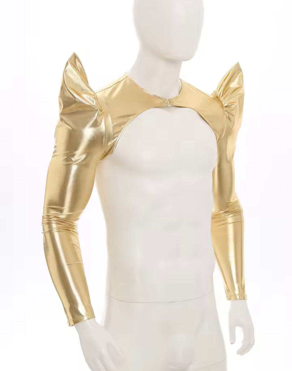 Metallic Sleeves