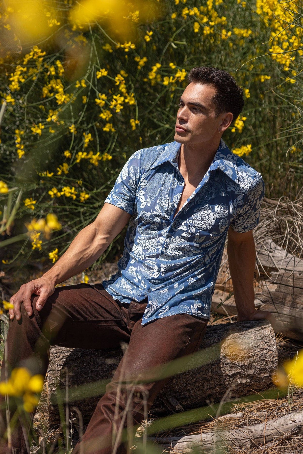 Ethereal Sheer Short Sleeve Shirt