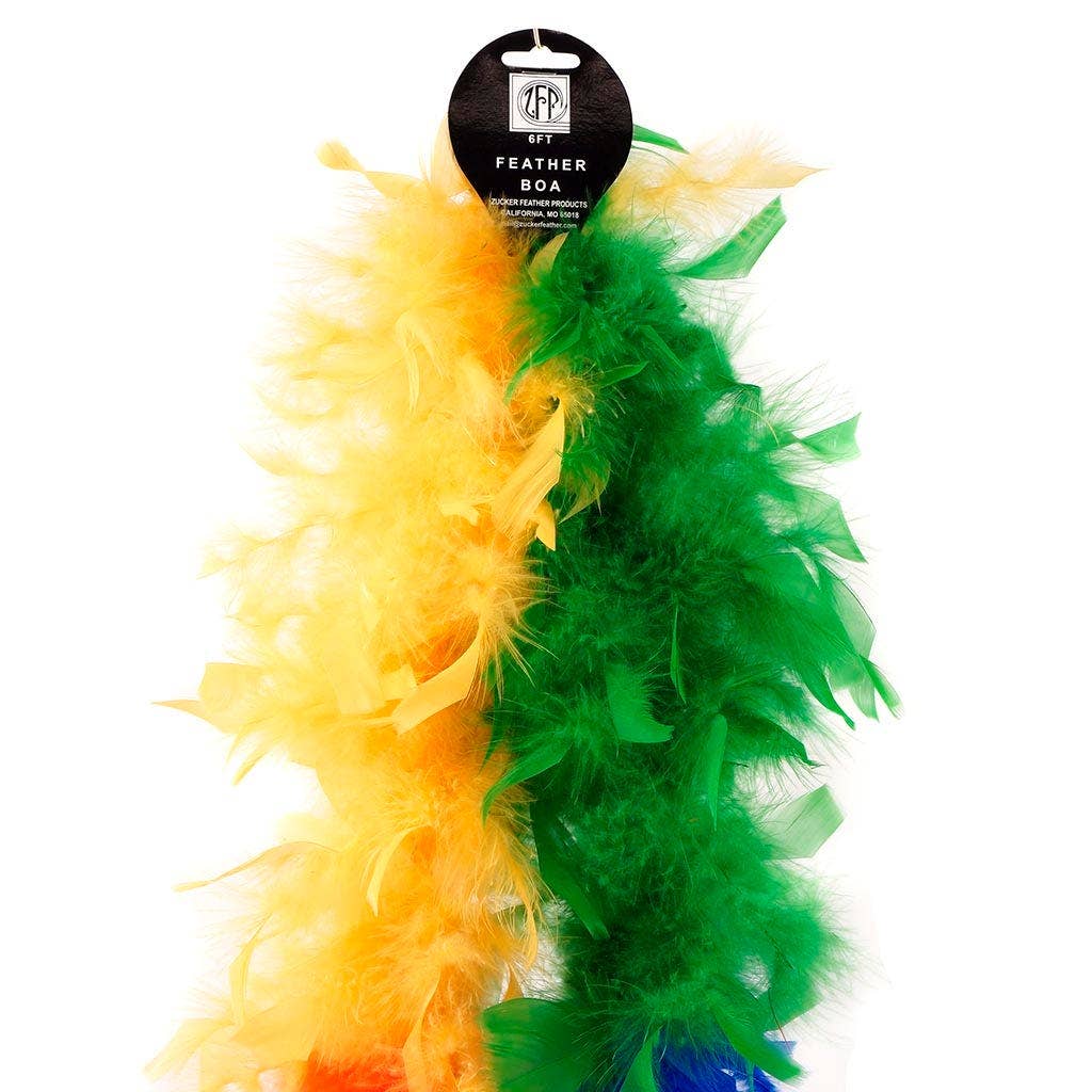 Feather Boa - Lightweight - Rainbow Sectional