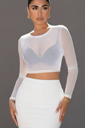 Solid Mesh Sheer Crop Top