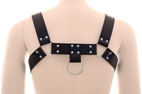 Men's Chest Harness Bulldog Style