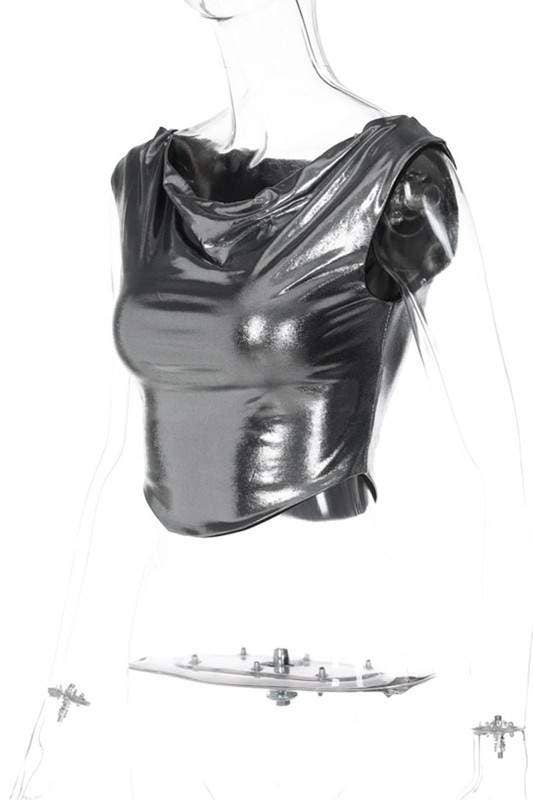 Metallic sleeveless crop top