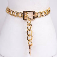 Chain Link Belt
