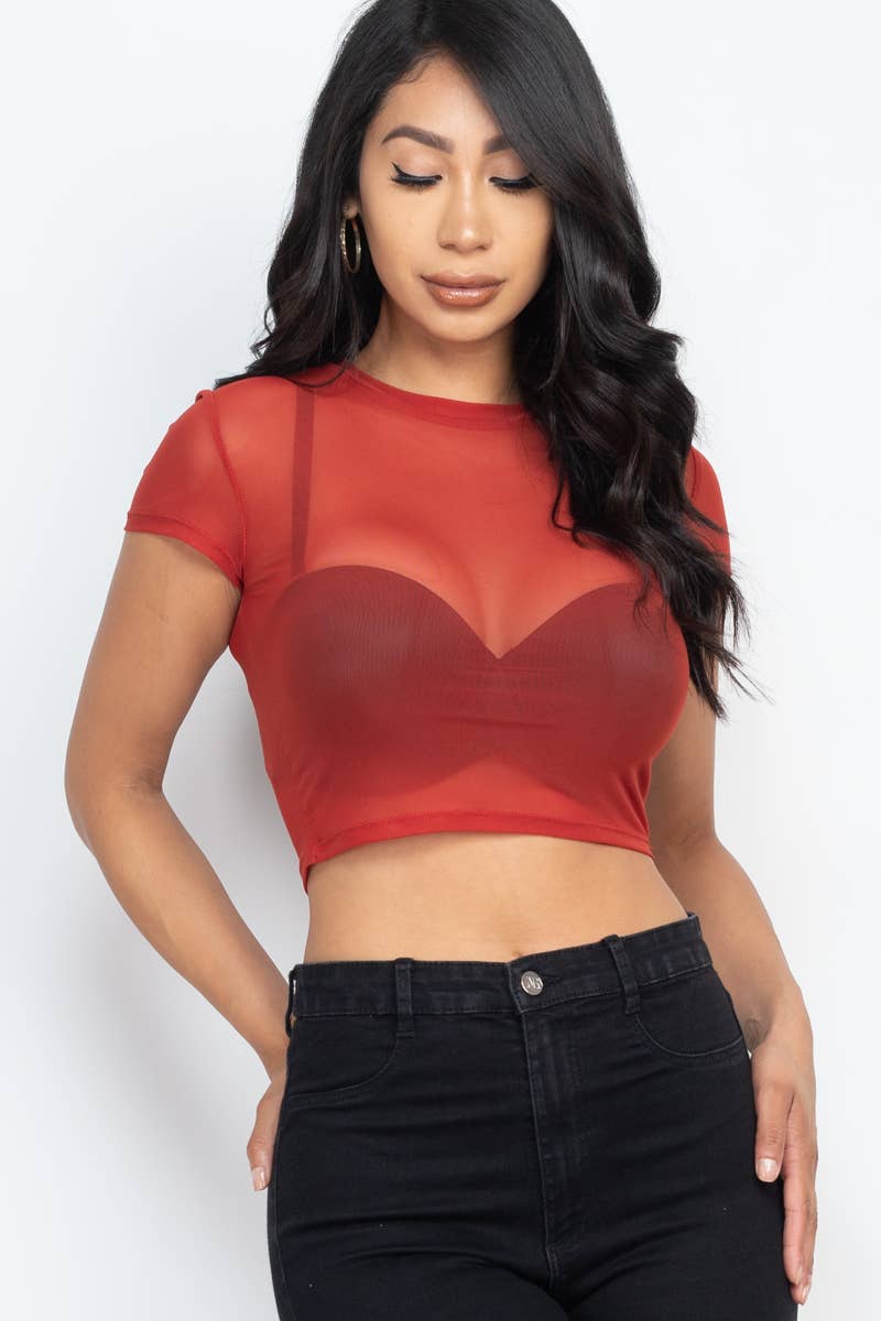 Mesh Sheer Crop Top