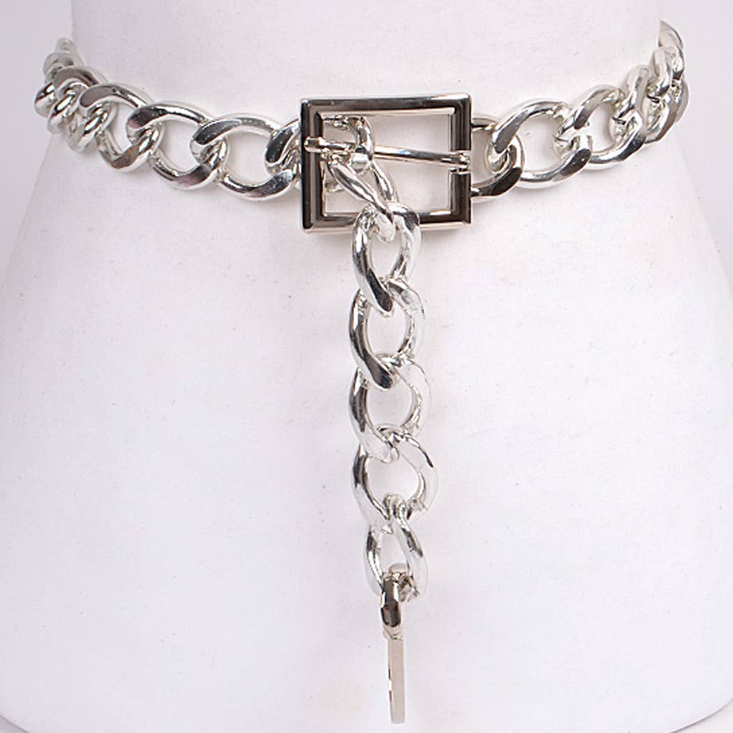 Chain Link Belt
