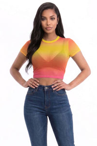 Mesh Sheer Crop Top