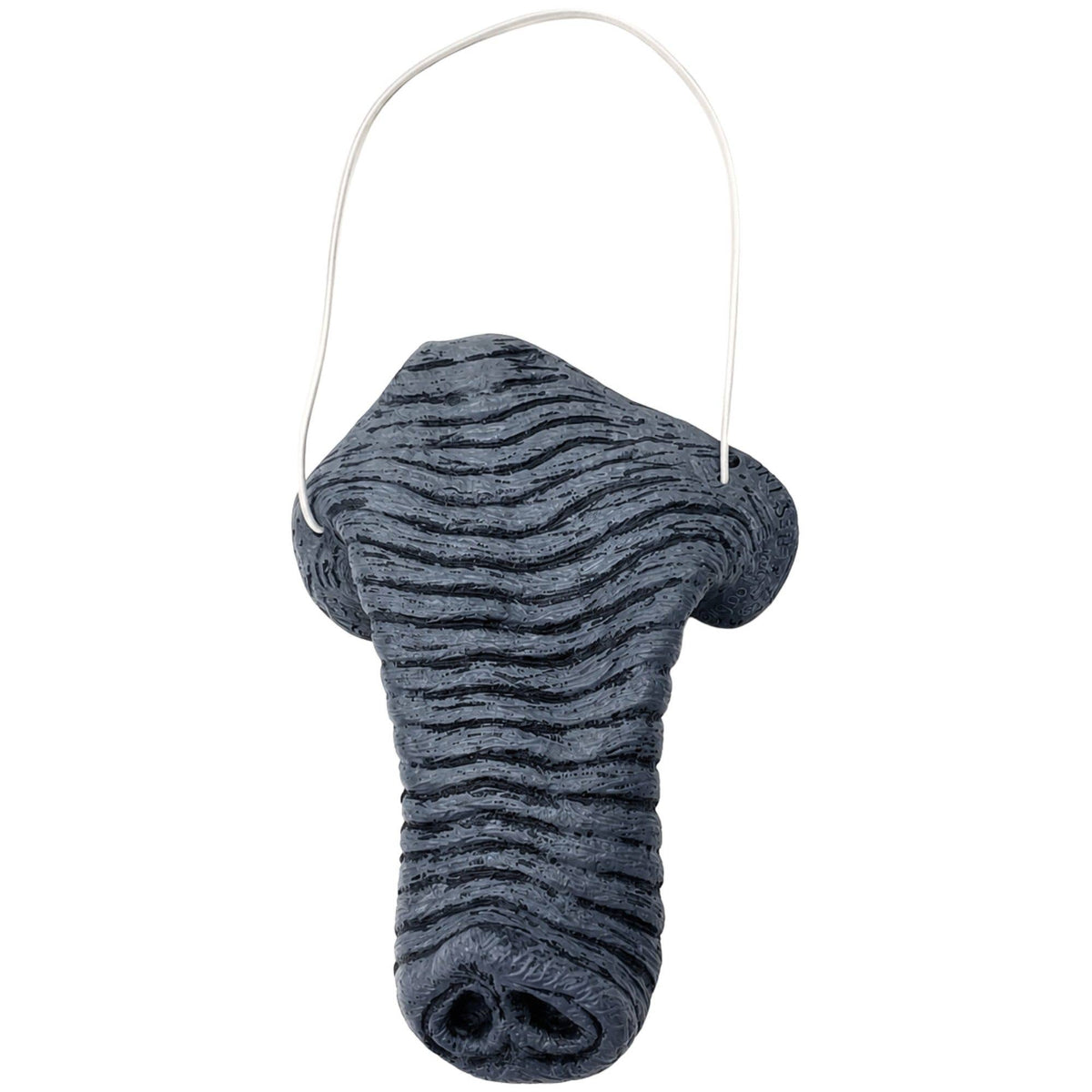 Elephant Nose