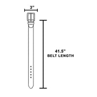 Studded Trim Vegan Leather Belt