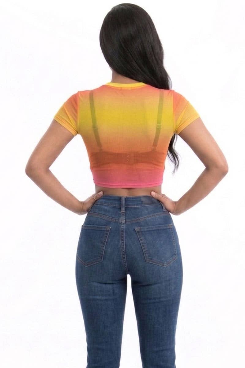 Mesh Sheer Crop Top