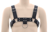 Men's Chest Harness Bulldog Style