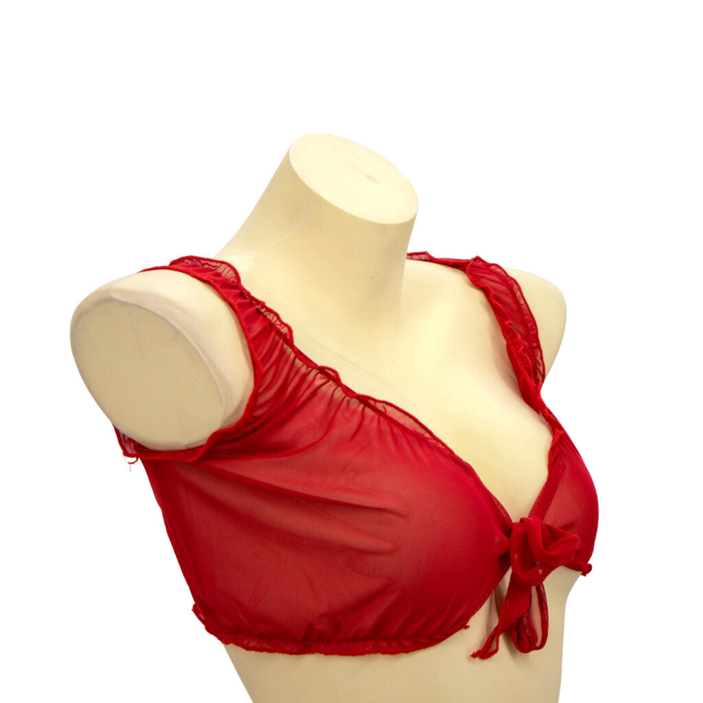 Firefly Sheer Top