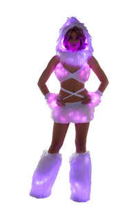 Snow Fairy Top